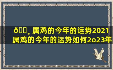 🕸 属鸡的今年的运势2021（属鸡的今年的运势如何2o23年 🌴 运势）